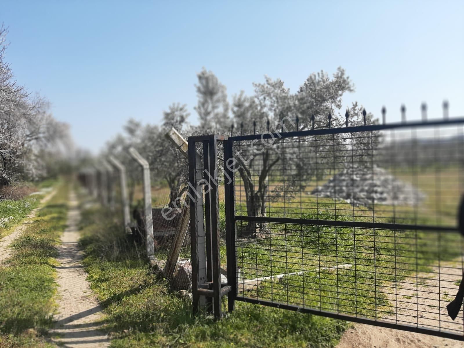 Dikili Güven Emlak'tan İsmetpaşa'da Satılık 18 Dönüm Tarla - Görsel 28