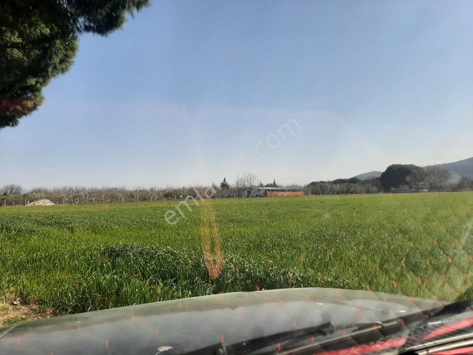 Dikili Güven Emlak'tan İsmetpaşa'da Satılık 18 Dönüm Tarla - Görsel 11