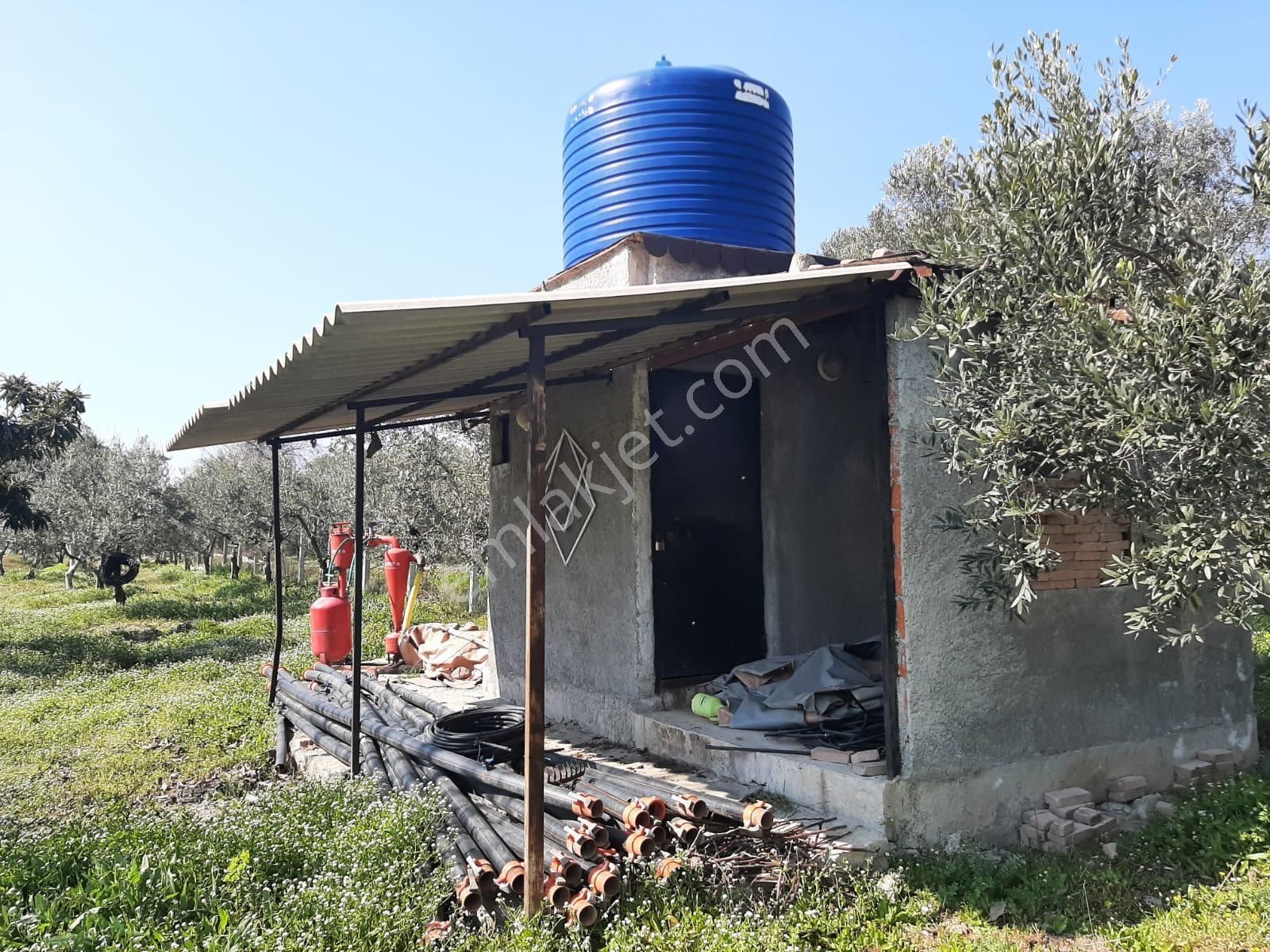 Dikili Güven Emlak'tan İsmetpaşa'da Satılık 18 Dönüm Tarla - Görsel 9