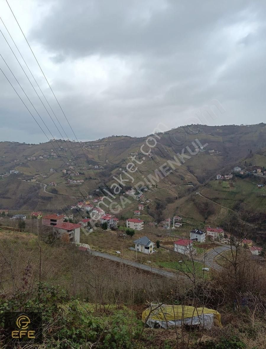 Akçaabat Akçaköy Satılık Konut İmarlı Efe Gayrimenkulden Akcaköy De Satılık Arsa