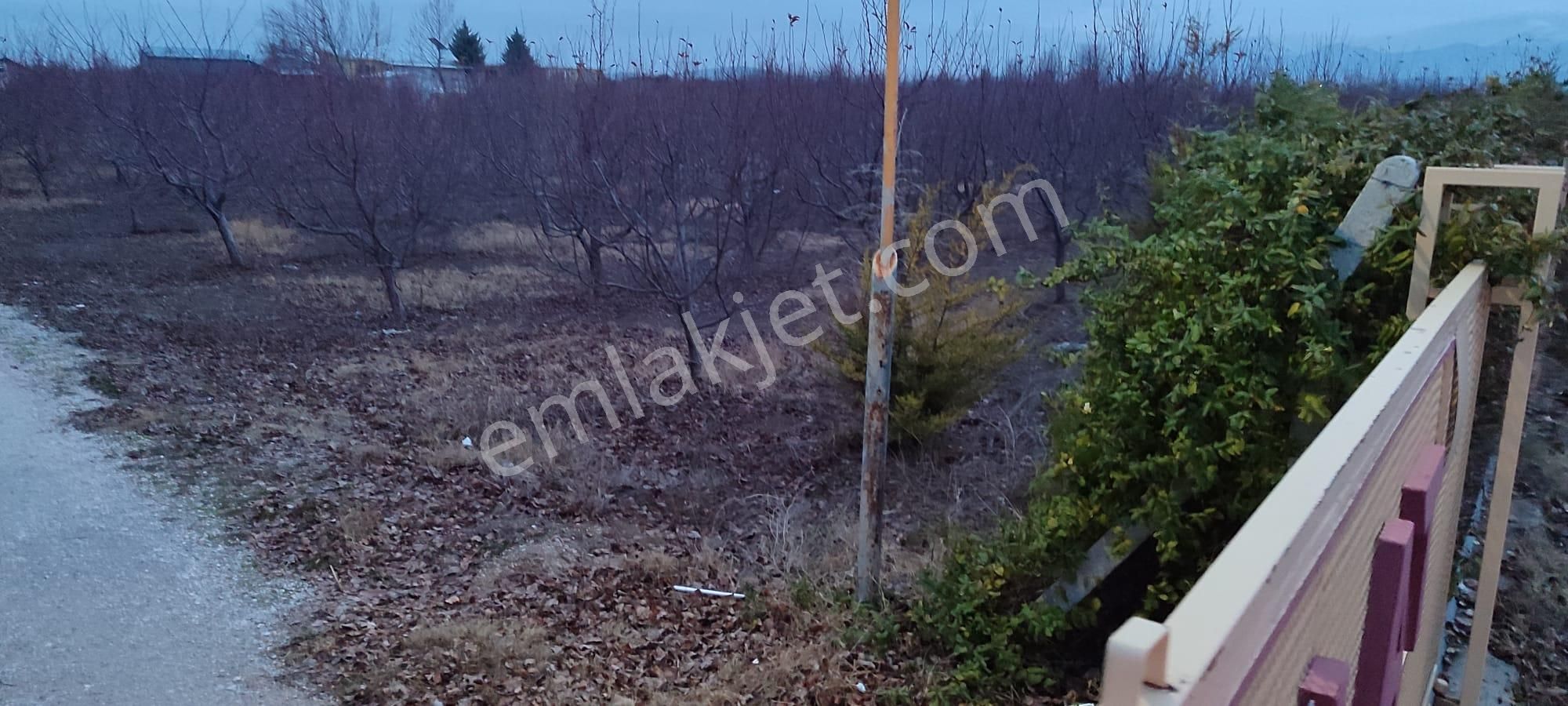 Selçuklu Emlak İnşaattan Sarayönü Doğu İstasyon Mah. Satılık 12340m2 Bahce Ve Ev - Görsel 17
