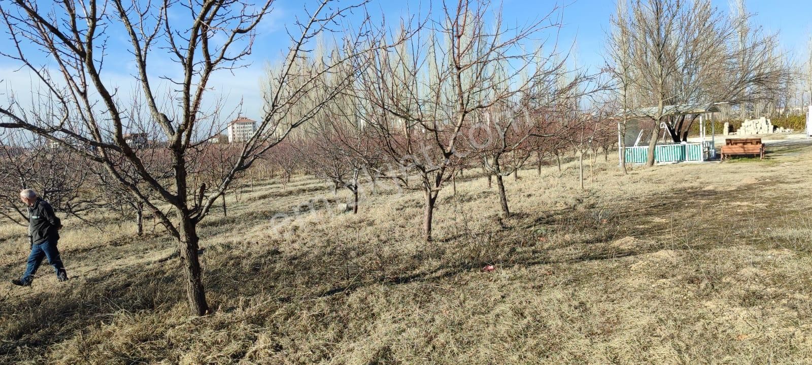Selçuklu Emlak İnşaattan Sarayönü Doğu İstasyon Mah. Satılık 12340m2 Bahce Ve Ev - Görsel 19