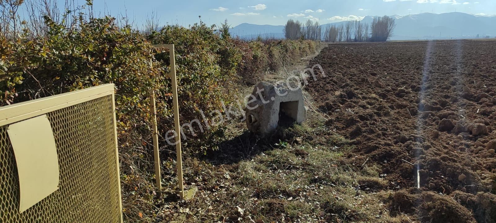 Selçuklu Emlak İnşaattan Sarayönü Doğu İstasyon Mah. Satılık 12340m2 Bahce Ve Ev - Görsel 15