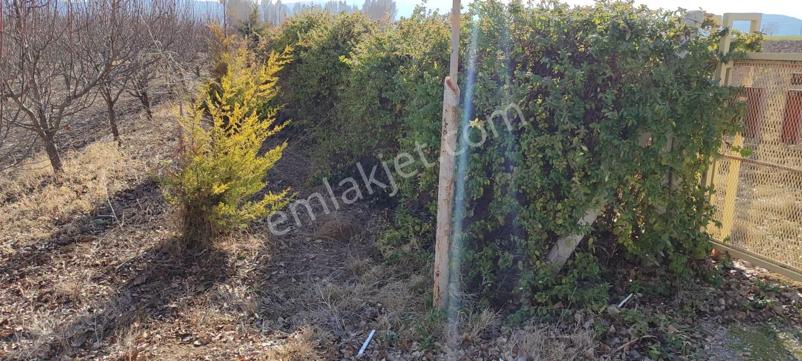 Selçuklu Emlak İnşaattan Sarayönü Doğu İstasyon Mah. Satılık 12340m2 Bahce Ve Ev - Görsel 16