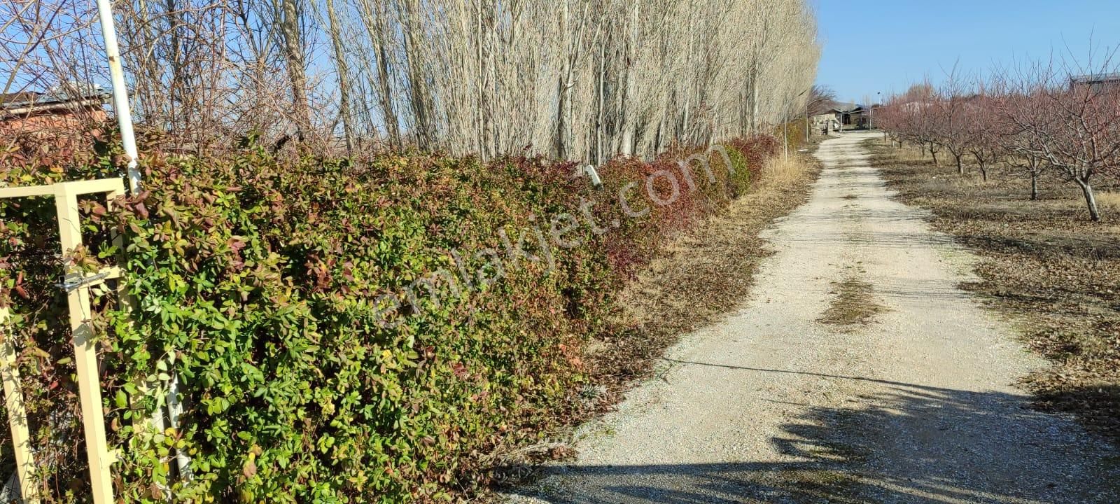 Selçuklu Emlak İnşaattan Sarayönü Doğu İstasyon Mah. Satılık 12340m2 Bahce Ve Ev - Görsel 18