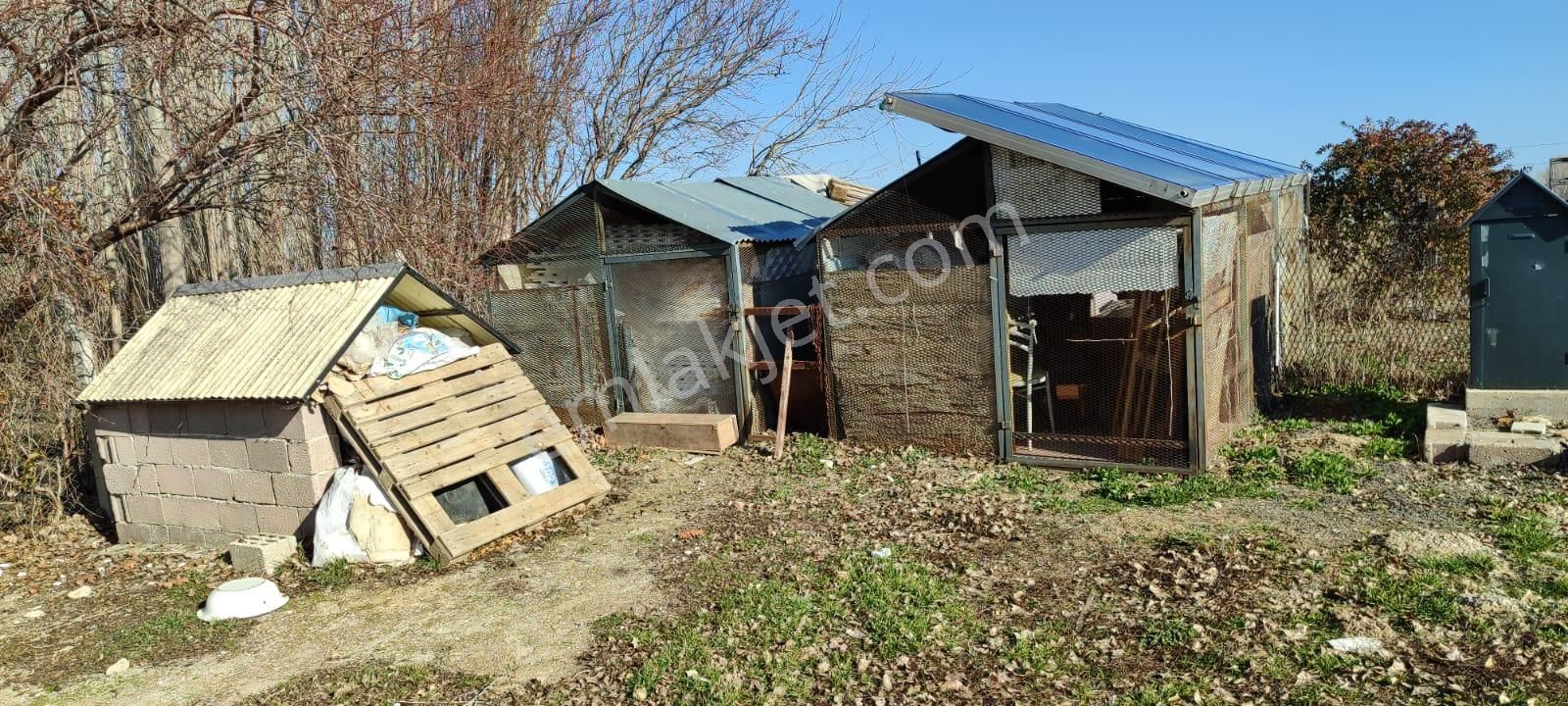 Selçuklu Emlak İnşaattan Sarayönü Doğu İstasyon Mah. Satılık 12340m2 Bahce Ve Ev - Görsel 14