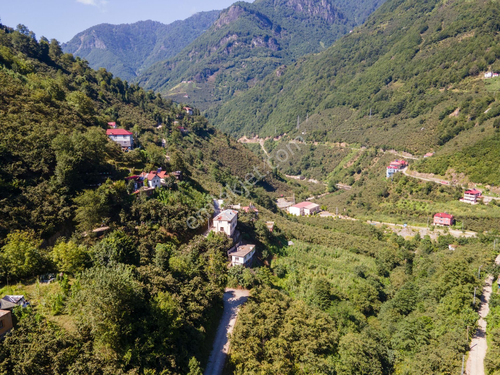 Çanakçı Deregözü Köyü (Güregeriş) Satılık Konut İmarlı Giresun'da 456m² Köyiçi İmarlı Uygun Fiyata ''biarsa''nız Olsun!