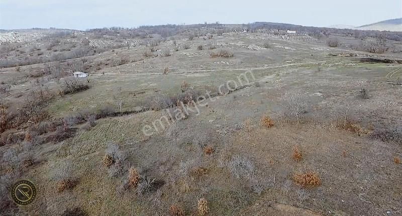 Kırklareli Merkez Armağan Köyü Satılık Tarla Kırklareli Armağan Köyünde Fırsat Yatırımlık Arazi