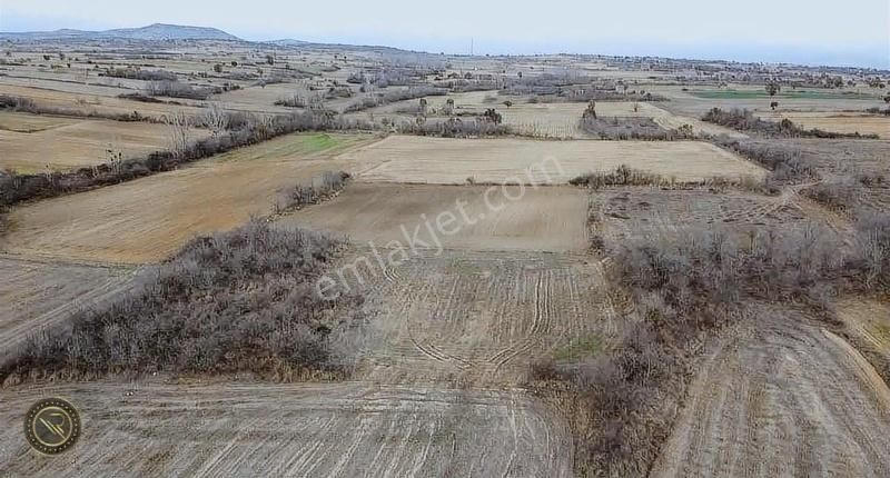 Kırklareli Merkez Kayalı Köyü Satılık Tarla Kırklareli Merkez Yatırımlık Arazi