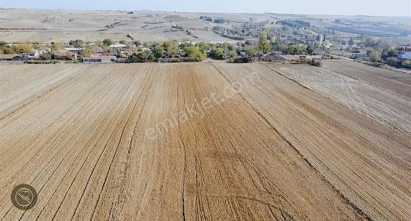 Babaeski Yenimahalle Köyü Satılık Konut İmarlı Babaeski Yenimahallede 5 Dönüm İmarlı Arsa