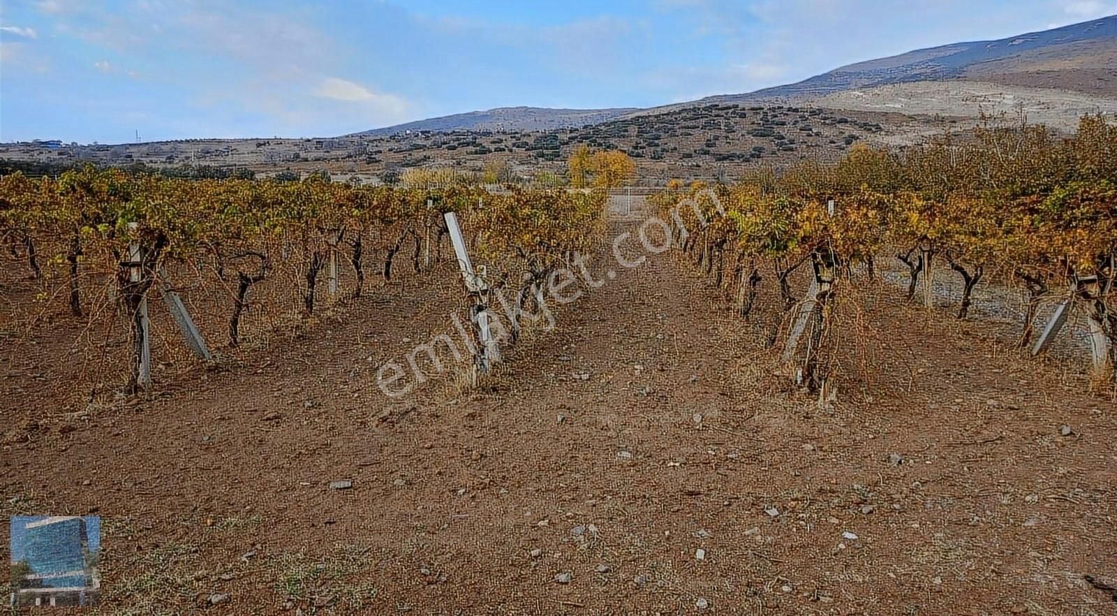 Aliağa B. Hayrettin Paşa Satılık Bağ & Bahçe Aliağa Helvacı'da Satılık Tarla