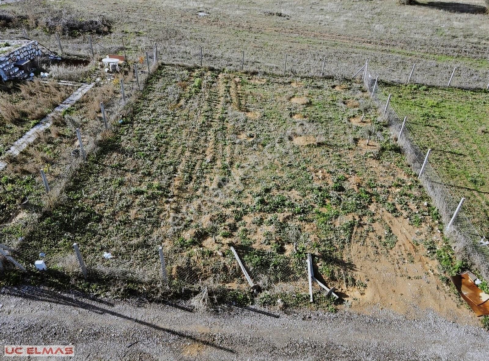 Menderes Kasımpaşa Satılık Bağ & Bahçe Üç Elmastan Muhteşem Bir Doğanın İçinde 479 M²tapulu Süper Bahçe