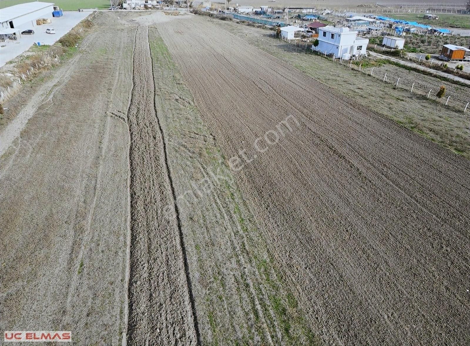 Menderes Altıntepe Satılık Tarla Üç Elmastan İnanılmaz Güzellikte 3.500 M²tapulu Muhteşem Bahçe