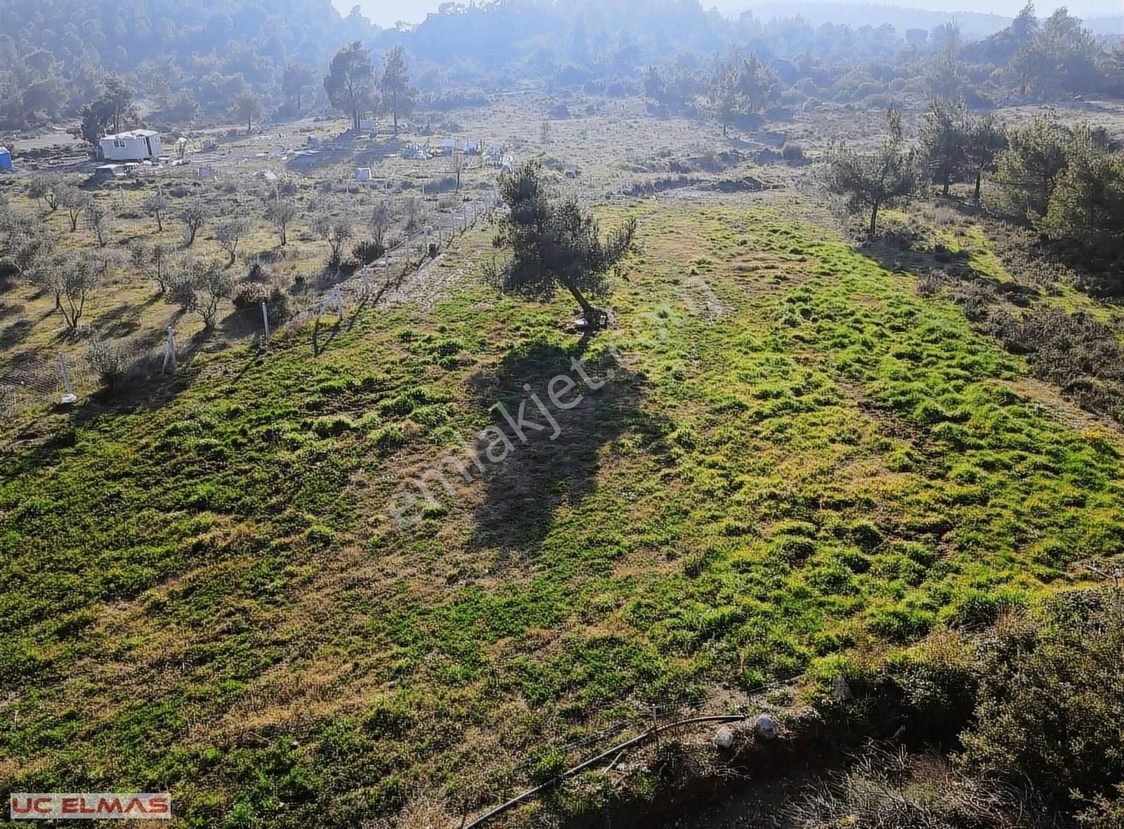 Menderes Dereköy Satılık Tarla Üç Elmastan İddia Ediyorum Yok Böylesi 1.100 M² Tek Tapu Bahçe