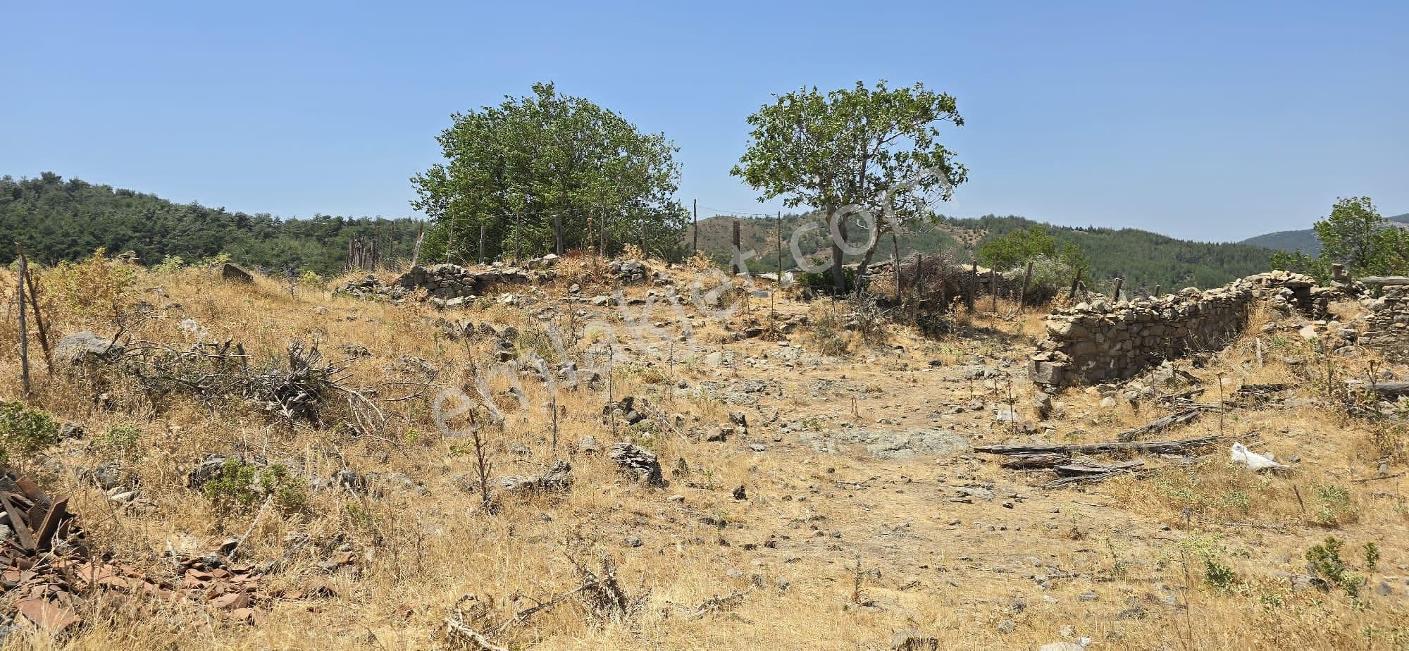 Biga Örtülüce Köyü Satılık Tarla Çanakkale Biga Örtülüce Köyünde Satılık Tarla