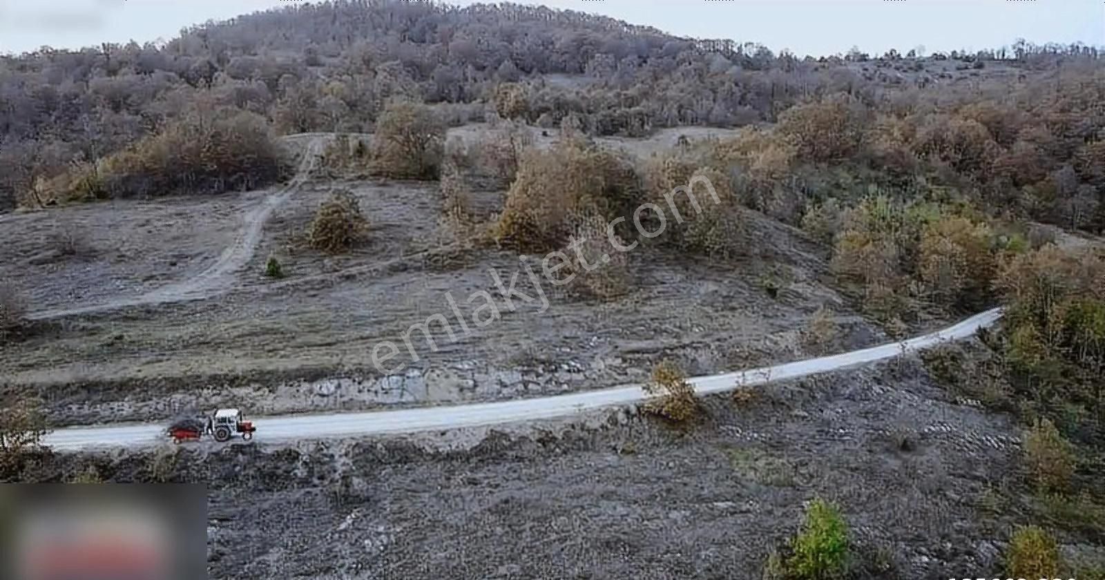 Kavak Mahmutlu Satılık Tarla Mahmutlu Mah 5880m2 Yol Kenarı Tarla