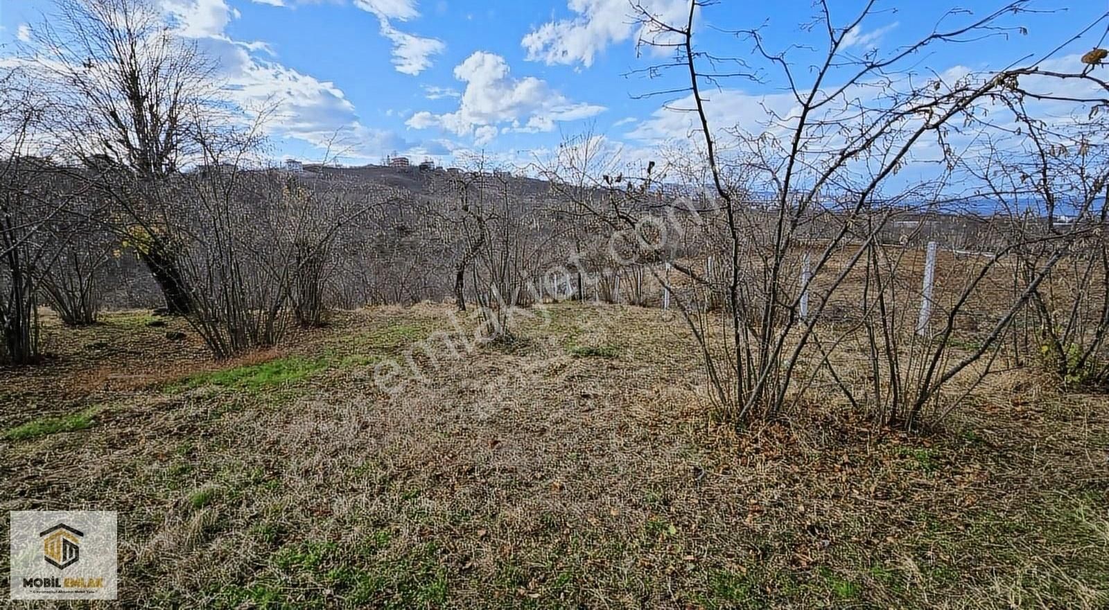 Fatsa Bolamanda Villa Proj. Uygun 13.875 M2 Satılık Fındık Bahçe - Görsel 9