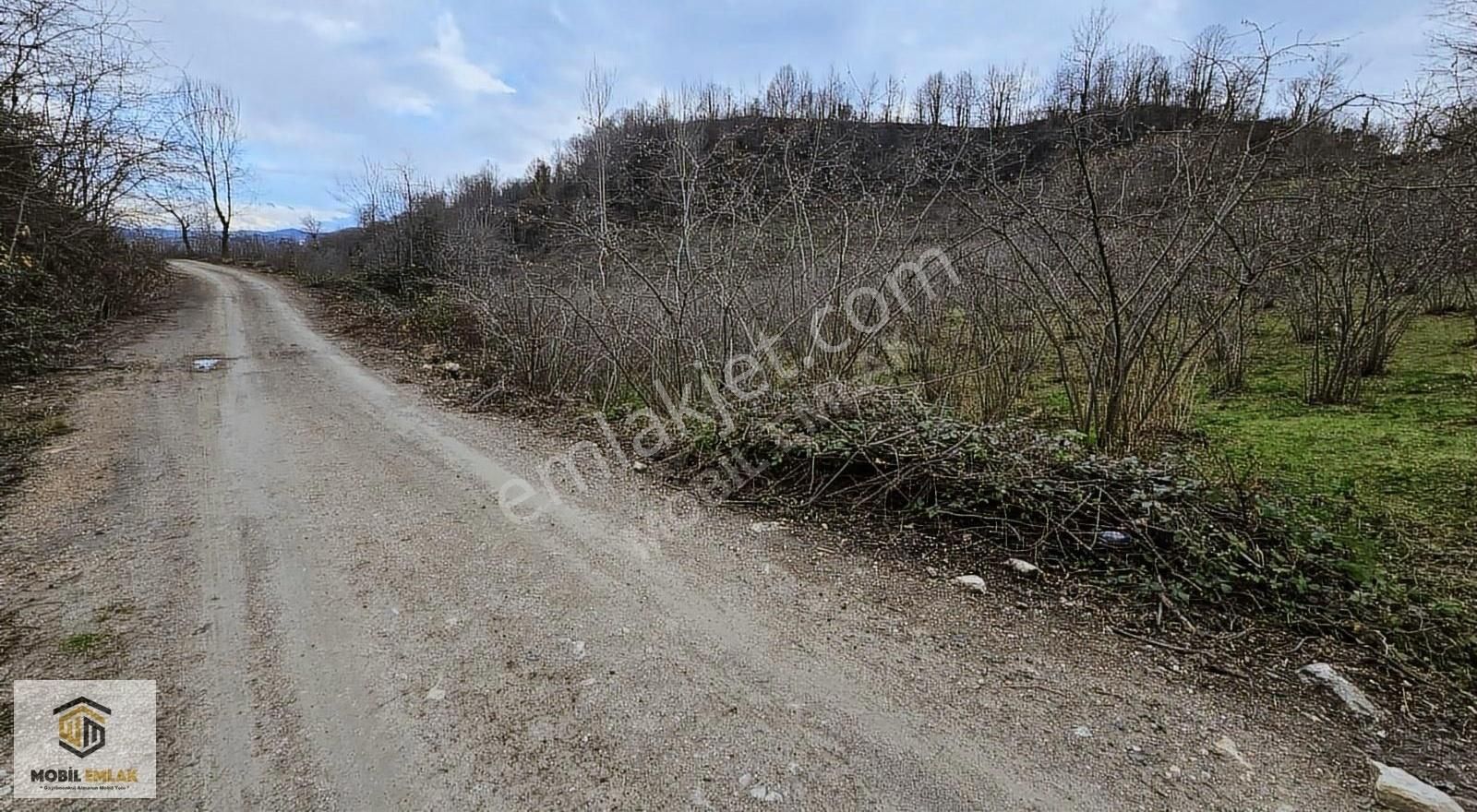 Yassıtaş Mh Kaynarlı Mevk Satılık 5.857 M2 Satılık Fındık Bahçes - Görsel 2