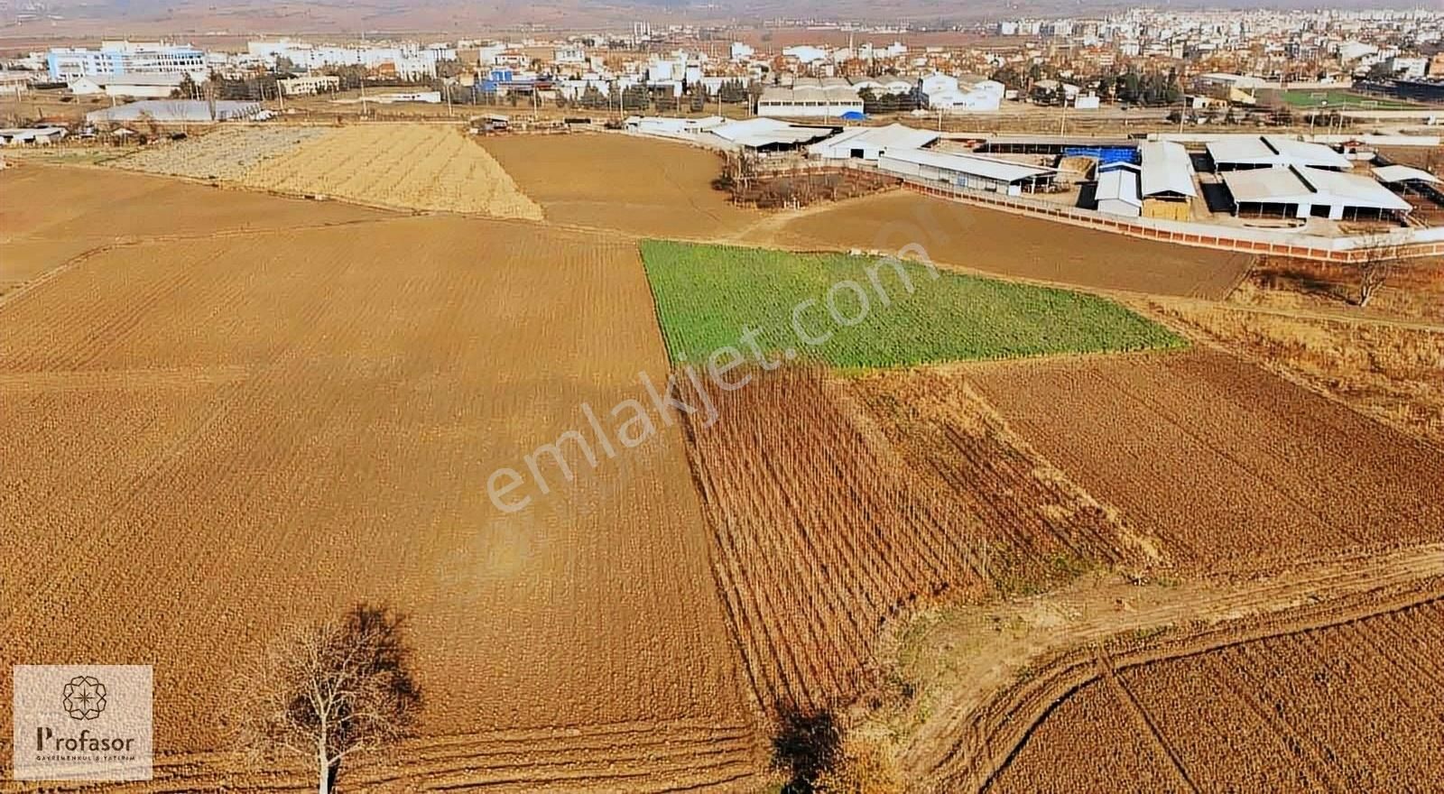 Yenişehir Çayır Satılık Tarla Profasor*dan Yenişehir Çayır Da Satılık 3 Dönüm Tarla