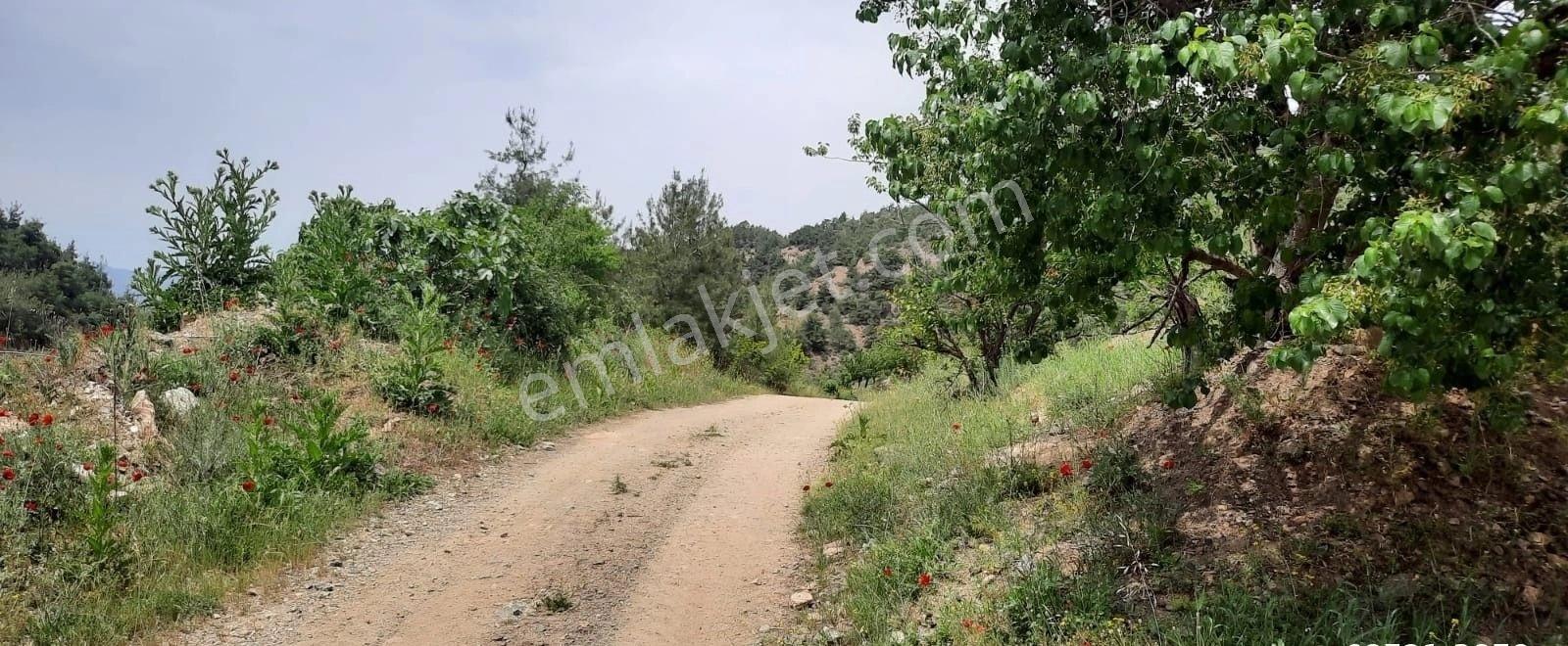 Bilecik İnhisar Tozman Da Yatırımlık Fırsat! Satılık Saklı Bahçe - Görsel 18