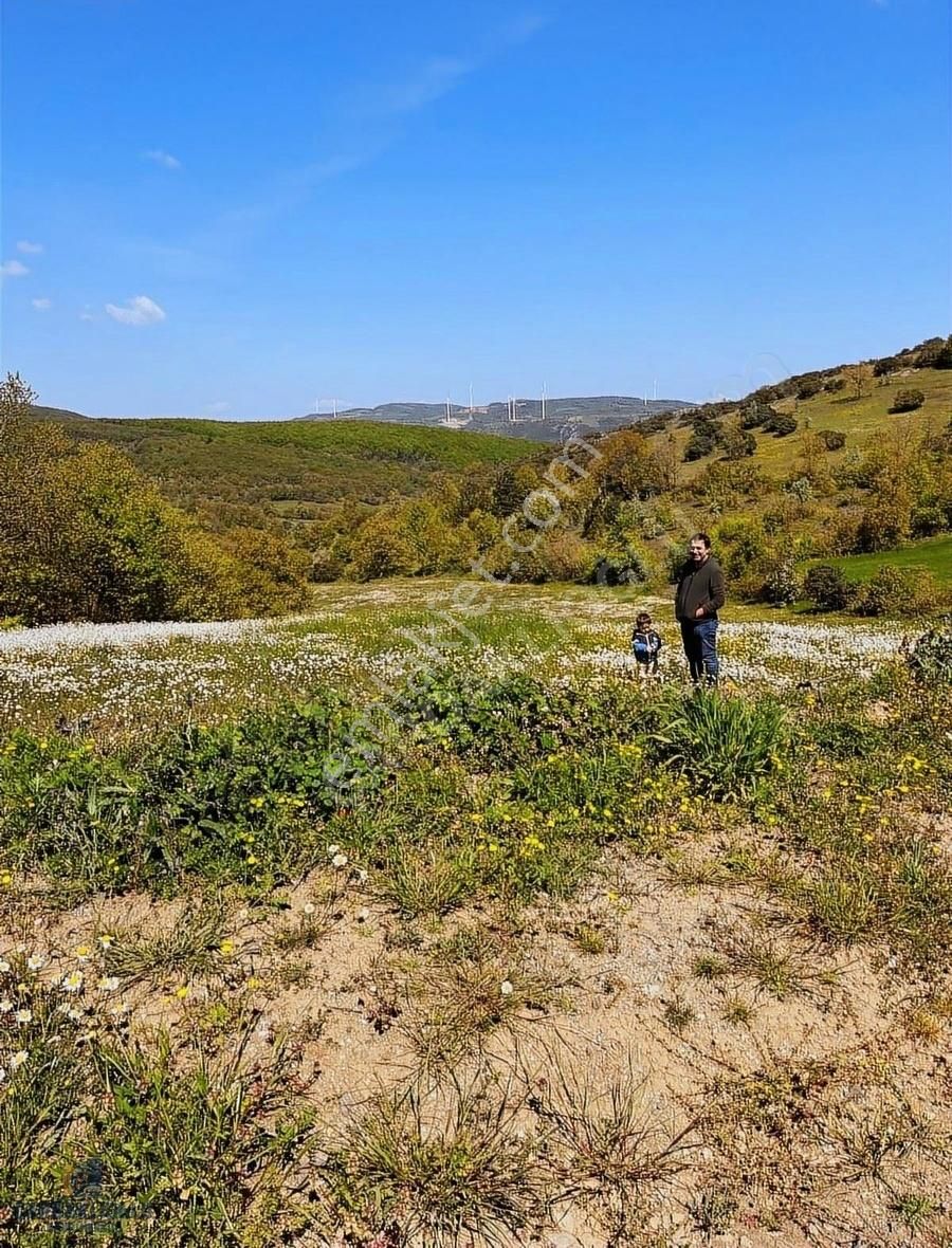 Lapseki Beyçayırı Köyü Satılık Tarla Çanakkale-lapseki-beyçayır Köyü-tarla