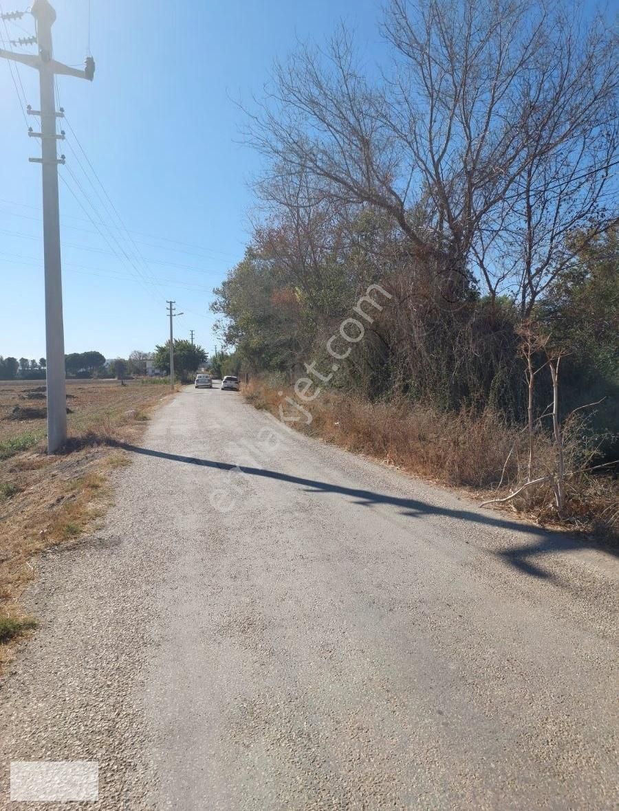 Milas Dörttepe Satılık Tarla Dörttepe'de Asfalt Yola Cepheli. Tuzla Kuş Gölüne Komşu Arazi