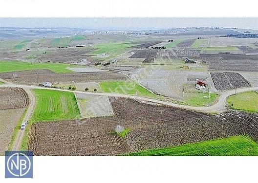 Silivri Çanta Sancaktepe Satılık Tarla Silivri Sancaktepede Bağlar Ararsında 475m2 Hisse Kelepir Fiyat