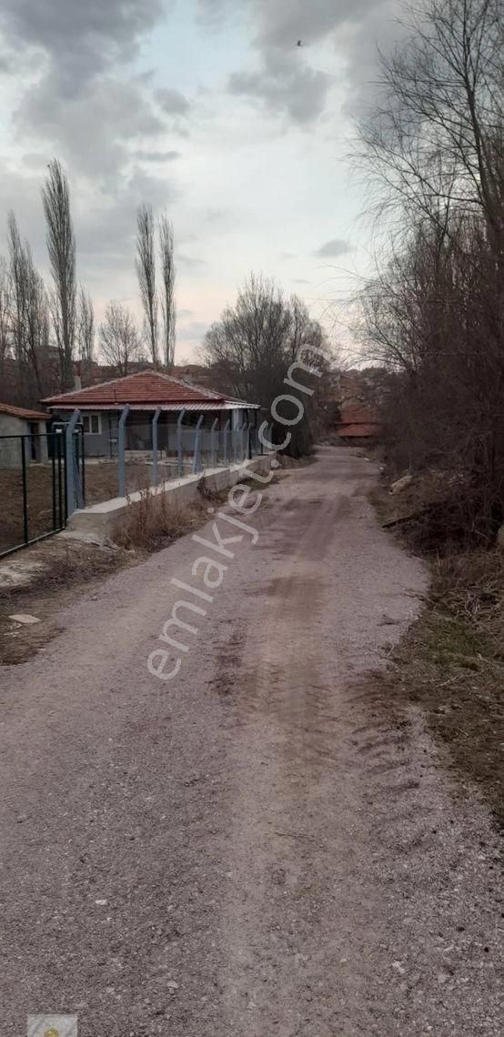 Seyitgazi Ayvalı Satılık Bağ & Bahçe Seyitgazi Ayvalı Mahallesinde Köy Yakını Satılık Bahçe