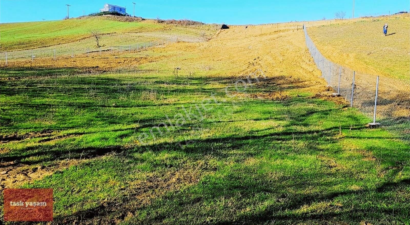 Körfez Himmetli Satılık Tarla Körfez Himmetli'de Satılık 2654 M2 Yatırımlık Arsa