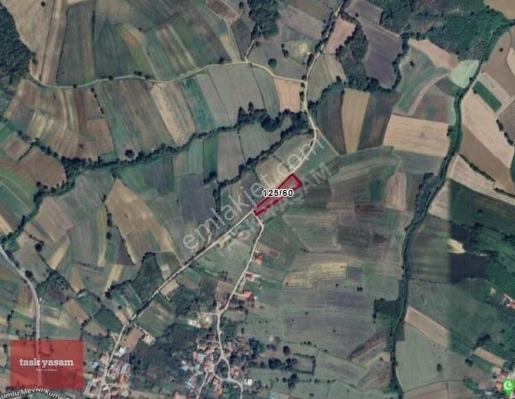 Kandıra Özbey Satılık Villa İmarlı Kocaeli'nin İncisi Kandıra'da 2968 M2 Satılık Fırsat Kupon Arsa