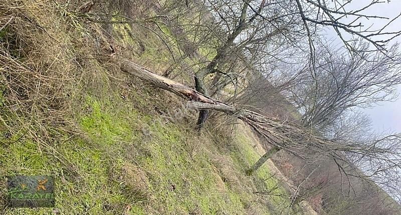 Mudurnu Güveytepe Köyü (Gemberuz) Satılık Tarla Taşkesti Çavuşdere Köyünde Satılık Yol Kenarı Satılık Arazi