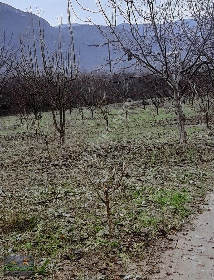 Pamukova Hayrettin Köyünde Satılık Tarla. - Görsel 5