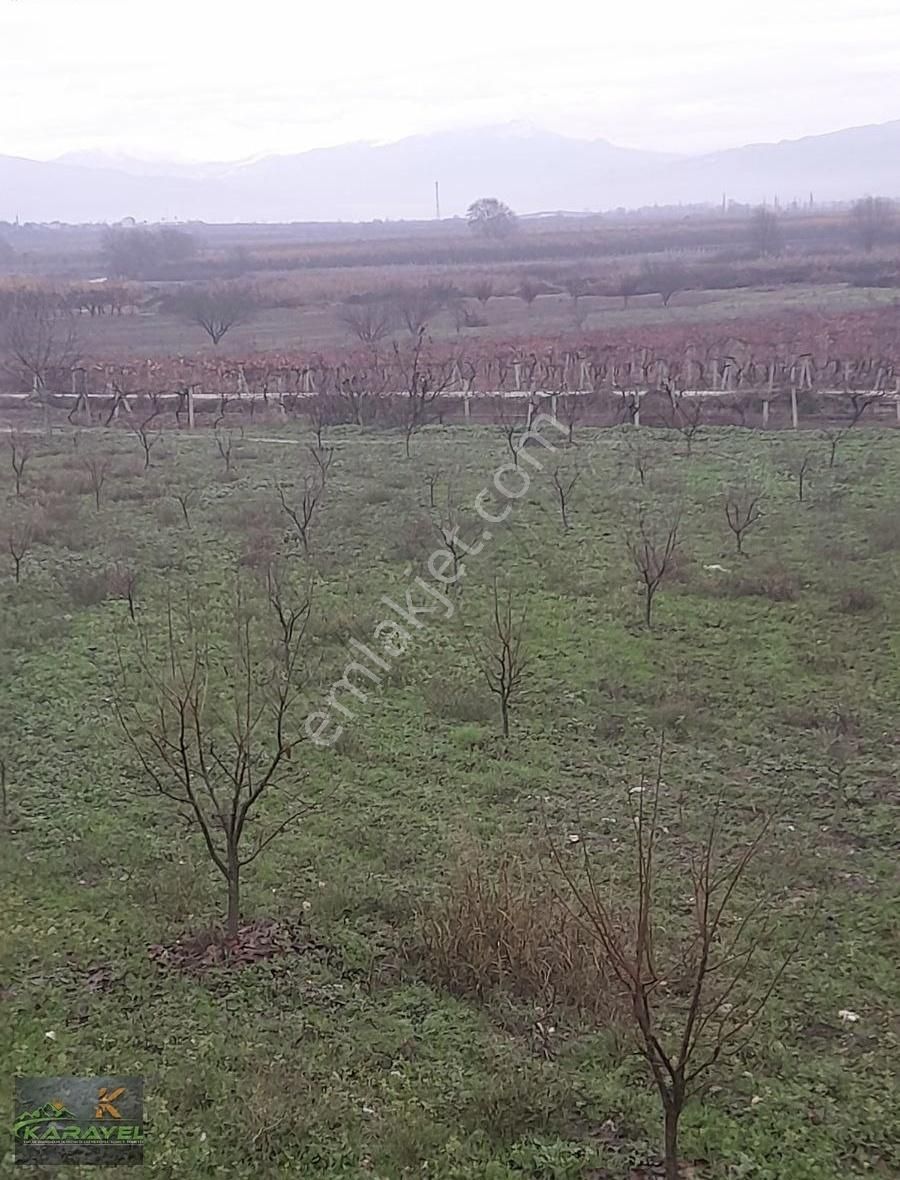Pamukova Hayrettin Köyünde Satılık Tarla. - Görsel 11