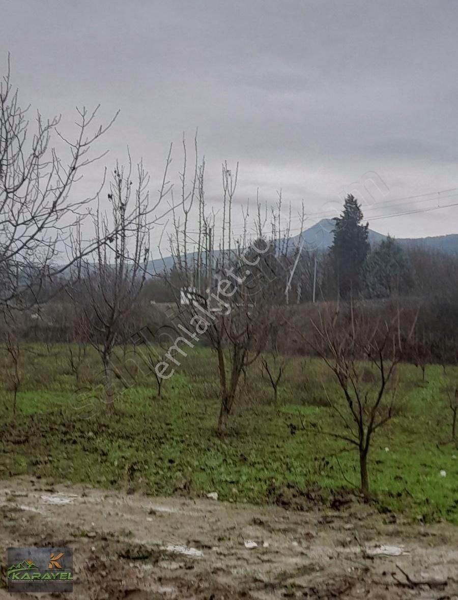 Pamukova Hayrettin Köyünde Satılık Tarla. - Görsel 13