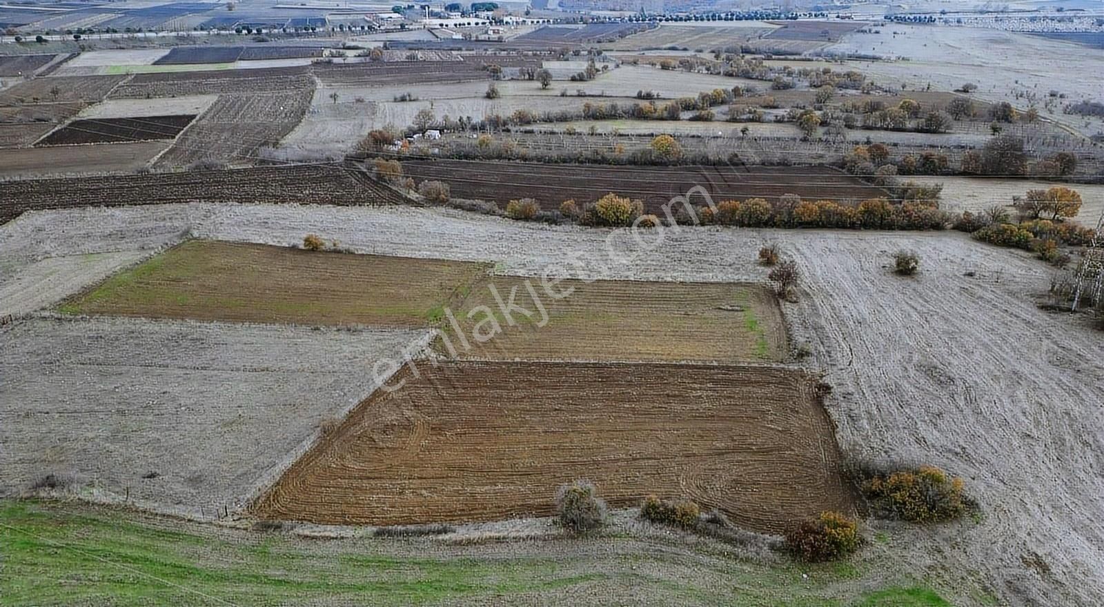 Altıeylül Taşköy Satılık Tarla Good İnvest Yön Den Taşköy Mah. Baraj Manzaralı Tarla