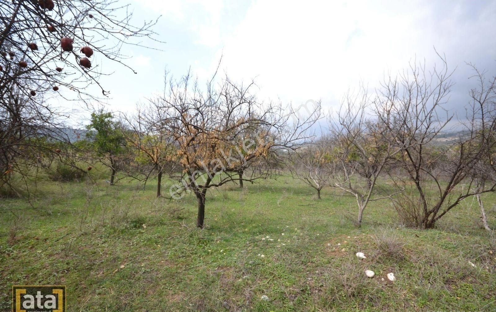 Toroslar Çopurlada 4.884 M2 Bahçe Güzel Konumlu Müsatkil Ev Yapmaya Uygun - Görsel 9