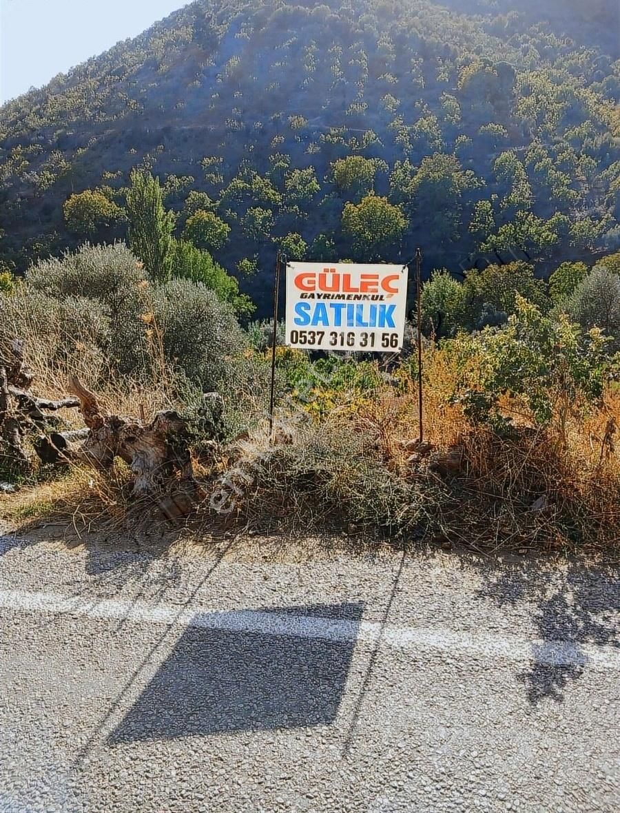 Tire Başköy Satılık Tarla Güleç Emlaktan İncirin Başkenti Başköyde Satılık İncir Bahçesi