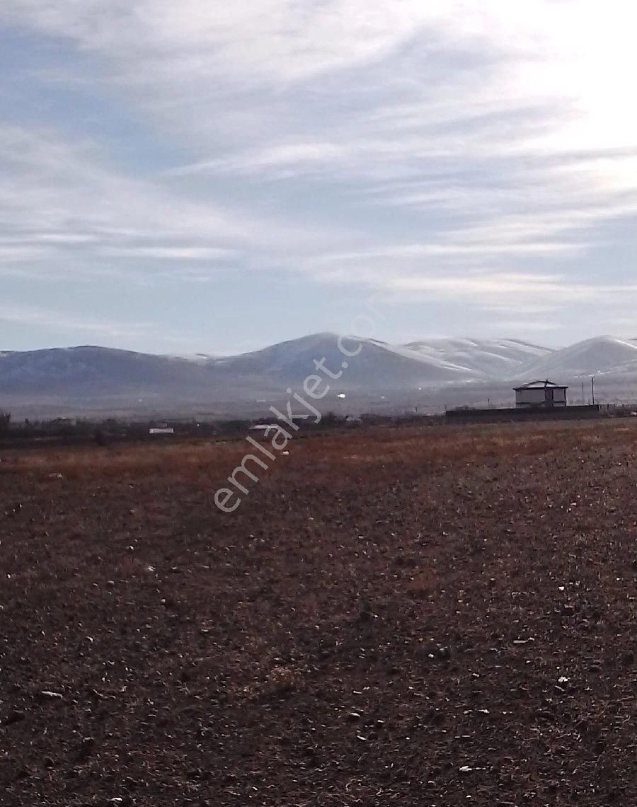 Melikgazi Turan Satılık Bağ & Bahçe Yg/ Turan Da 15633 M2 Tarla