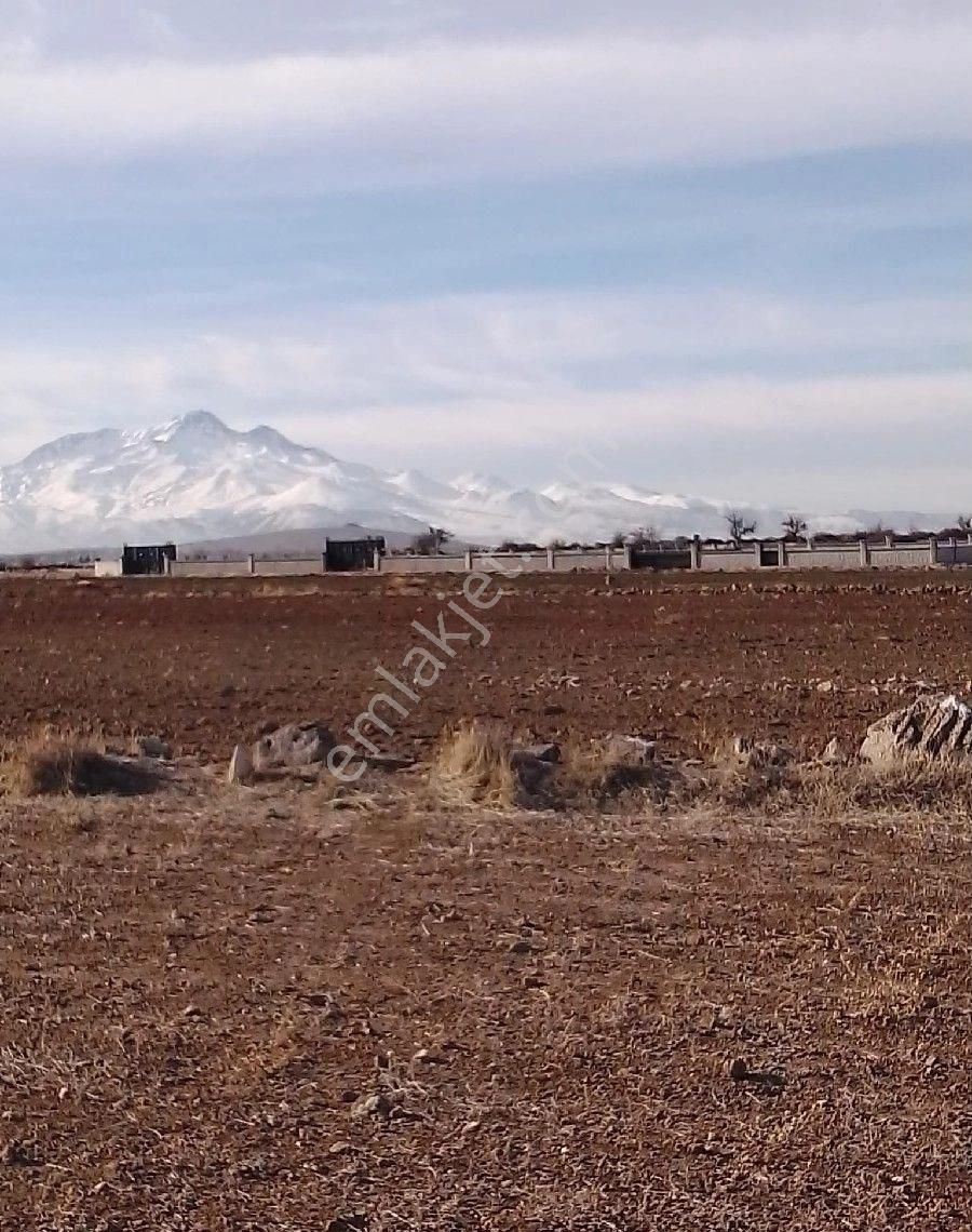 Melikgazi Turan Satılık Bağ & Bahçe Yg/ Turan Da Satılık Tarla 10123m2