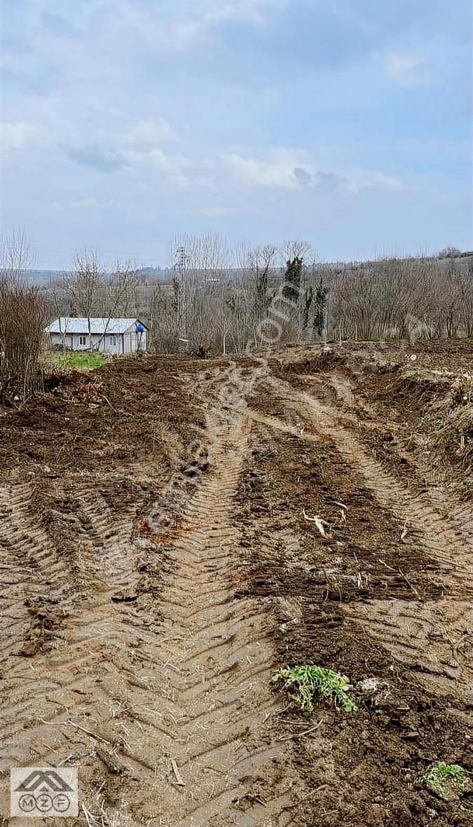 Yenişehir Günece Satılık Bağ & Bahçe Bursa Günece Köyünde Satılık Tarla