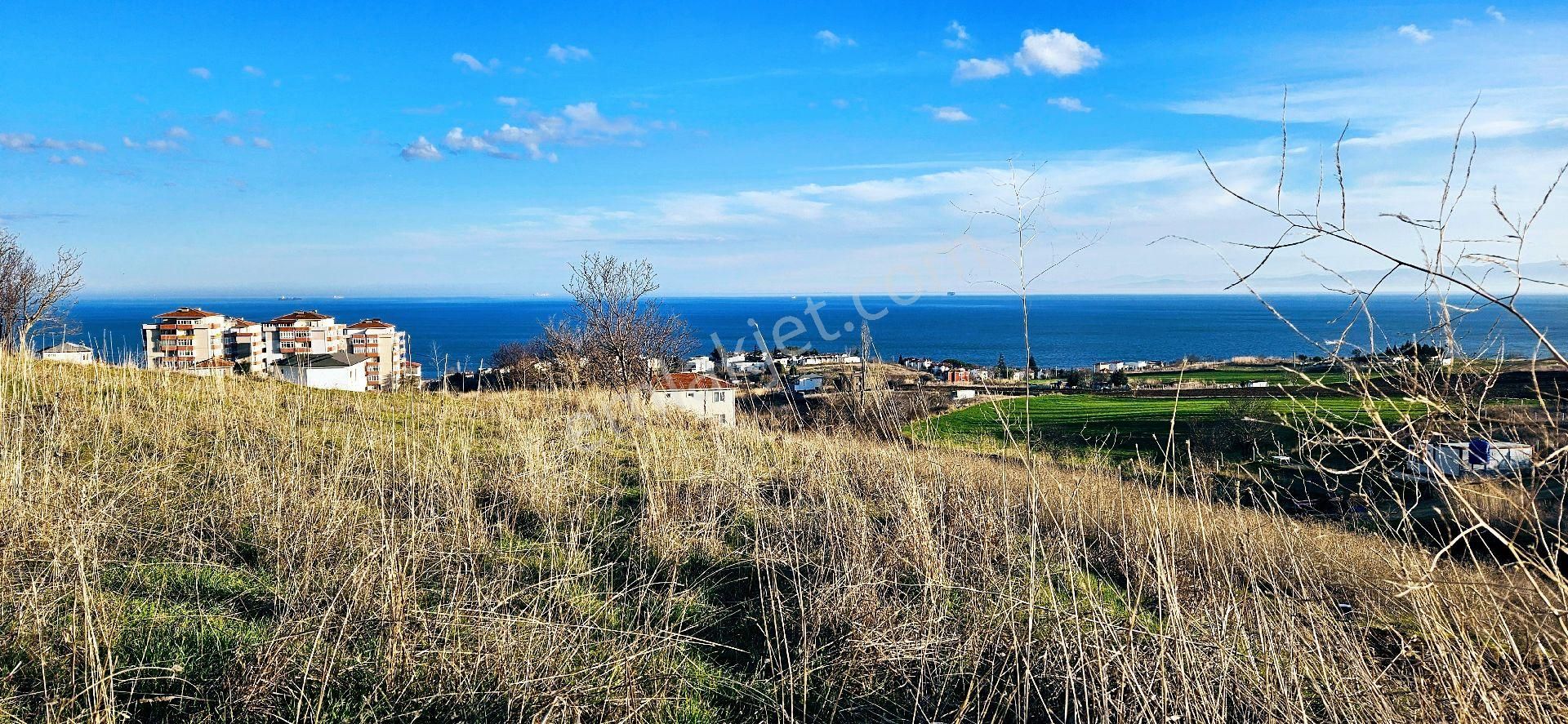 Süleymanpaşa Barbaros Satılık Konut İmarlı Tekirdağ Barbarosta Her Bütceye Uygun Fırsat Kelepir Arsa