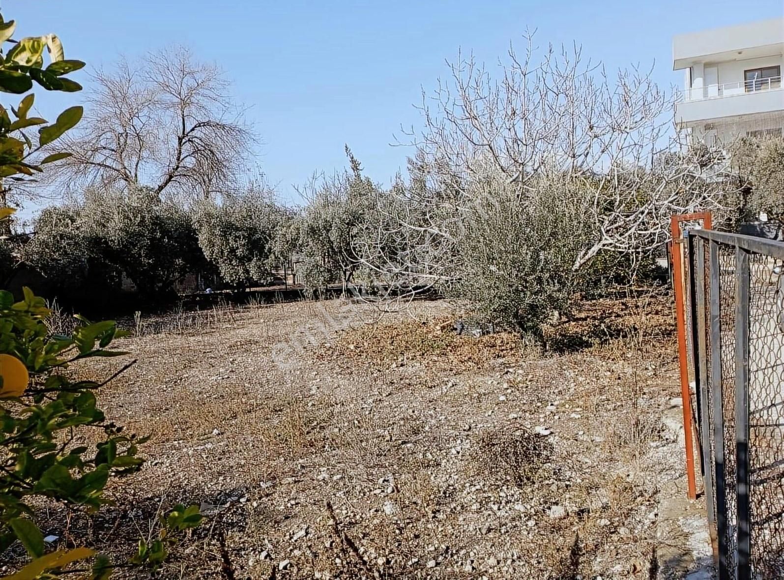 Kadirli Şehit Halis Şişman Satılık Konut İmarlı Gök Emlaktan Sakin Huzurlu Bir Konumda Satılık Arsa