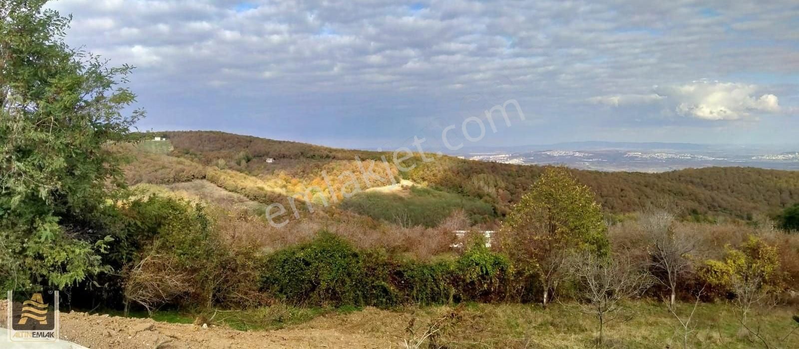 Kartepe Eşmeahmediye Satılık Bağ & Bahçe Eşme Ahmediye Köyünde Dağ Ve Orman Manzaralı Fındık Bahçesi