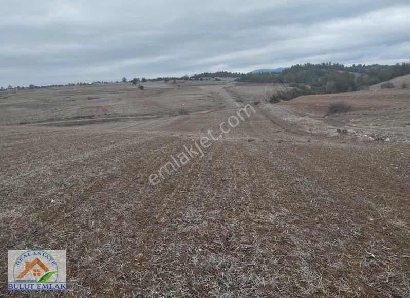 Gölhisar Yusufça Bld. Satılık Tarla Bulut Emlak Burdur Gölhisar'da17.899m2 Satılık Yatırımlık Tarla