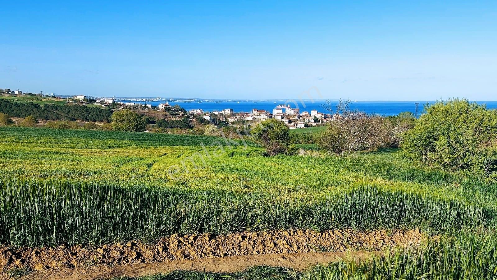 Süleymanpaşa Barbaros Satılık Konut İmarlı Acil Satılık Asyaport Limanına Çok Yakın Kelepir 620 M2 Köşe Arsa