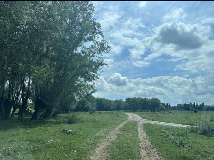 Akyurt Kalaba Satılık Bağ & Bahçe Acil Satılık Bahçe