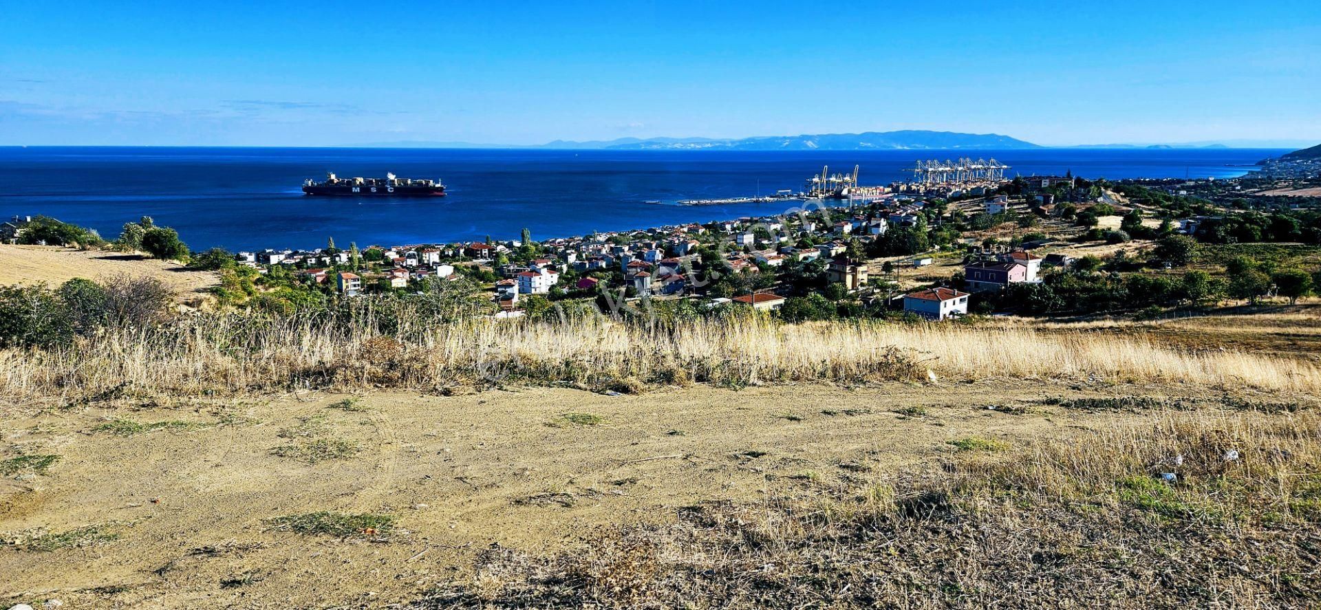 Süleymanpaşa Barbaros Satılık Konut İmarlı Hayelinizdeki Müstakil Evi Yapmaya Uygun Fırsat Arsa