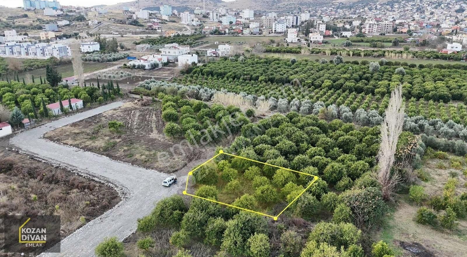 Kozan Tavşantepe Satılık Konut İmarlı Kozan Divan Emlak'tan Tavşantepe'de Satılık Arsa