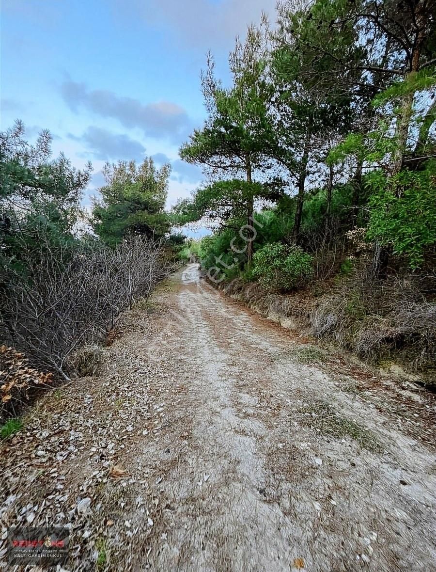 Çanakkale Merkez Erenköy Köyü (Merkez) Satılık Zeytinlik Çanakkale İntepe Panoramik Boğaz Manzaralı 14.239 M2 Zeytinlik