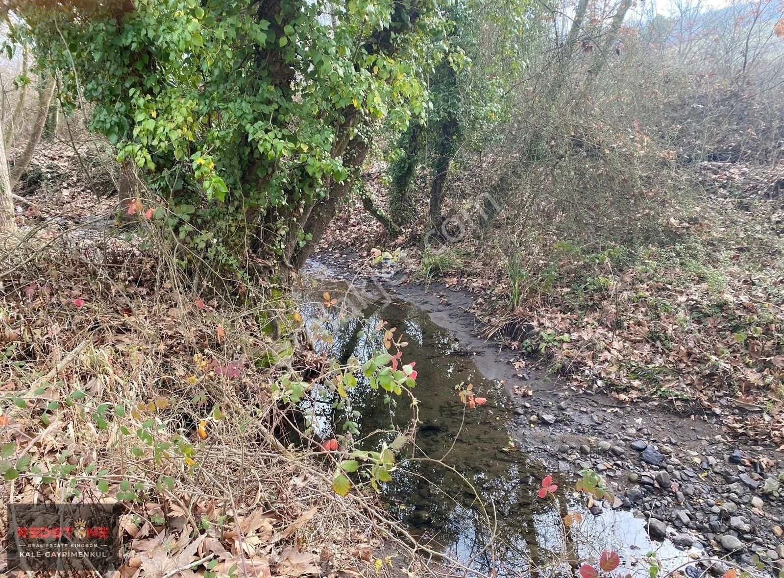 Çan Yeniçeri Köyü Satılık Tarla Çanakkale Çan Yeniçeri Köyü'nde Satılık Tarla